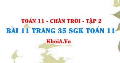 Bài 11 trang 35 Toán 11 Tập 2 Chân trời sáng tạo